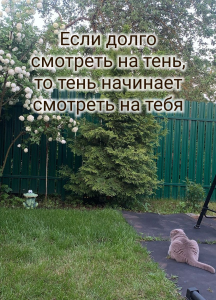 Мем, Pike Мем, Pike