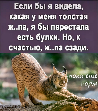 Мем, Ymir