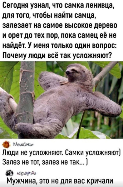 Мем, Смехалка