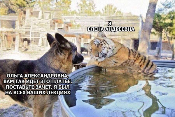 Мем, Hendry
