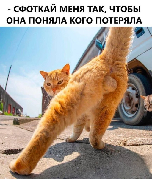 Мем, Hendry