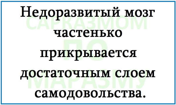 Мем, Александр САН