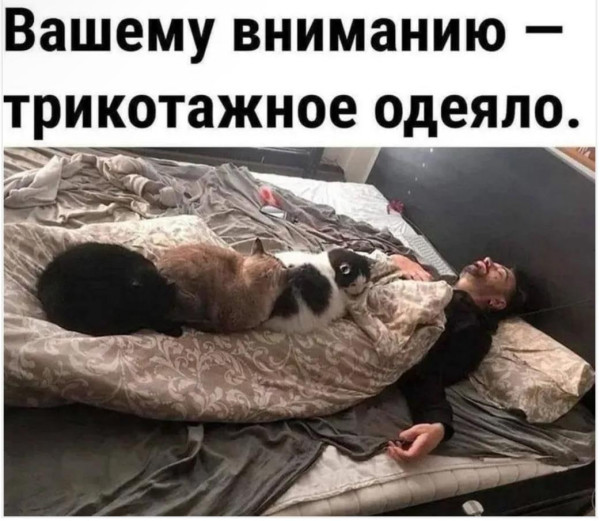 Мем, anberg