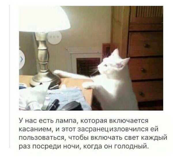 Мем, Смехалка