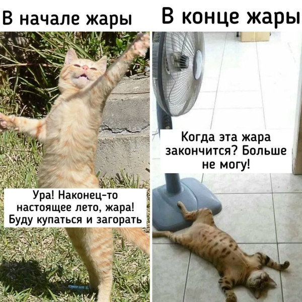 Мем, Смехалка