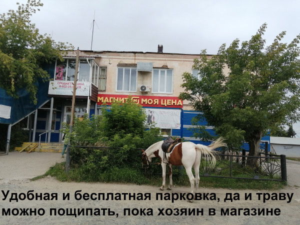 Мем, Борис Свердлов