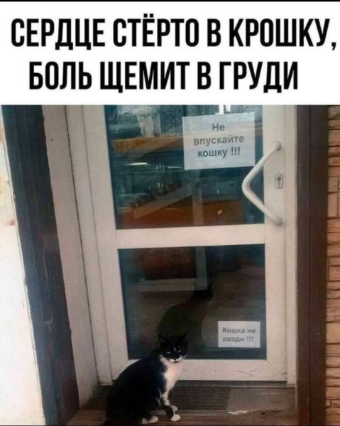 Мем, Максим Камерер
