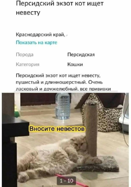 Мем, Леонид Хлыновский