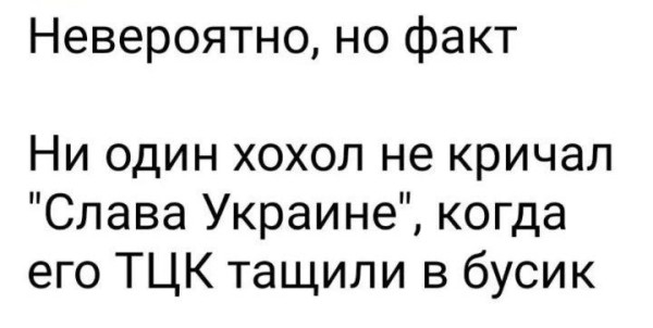 Мем, Максим Камерер
