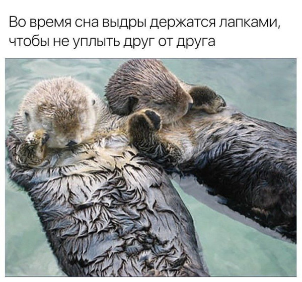 Мем, Леонид Хлыновский