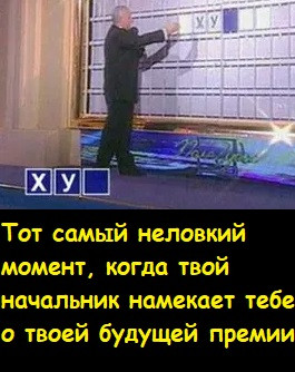 Мем, Лис Интересный