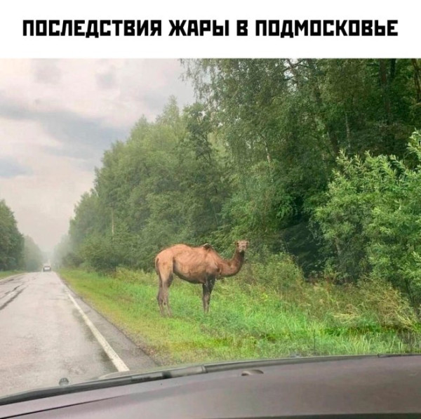 Мем, Смехалка