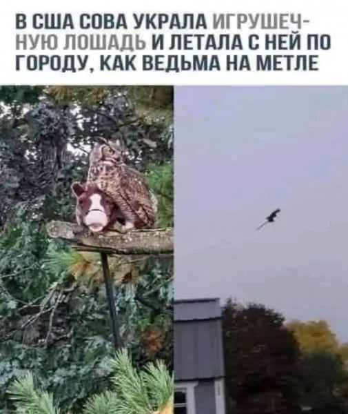 Мем, Смехалка