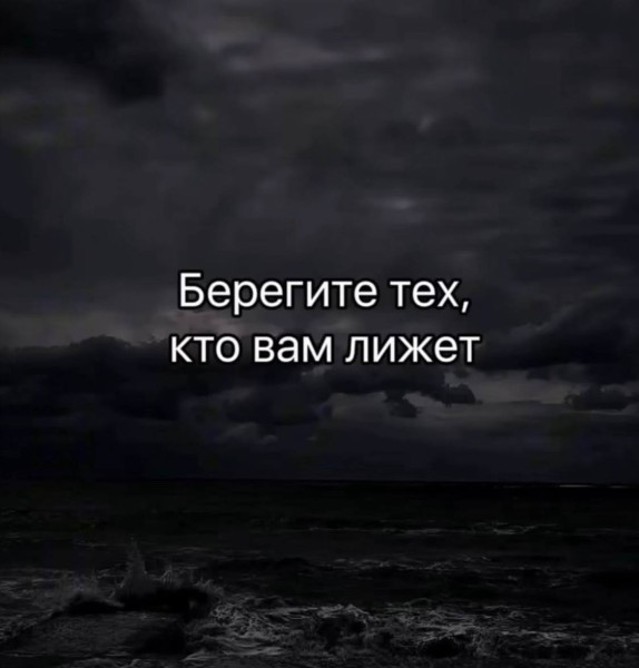 Мем: База, Nedaibok