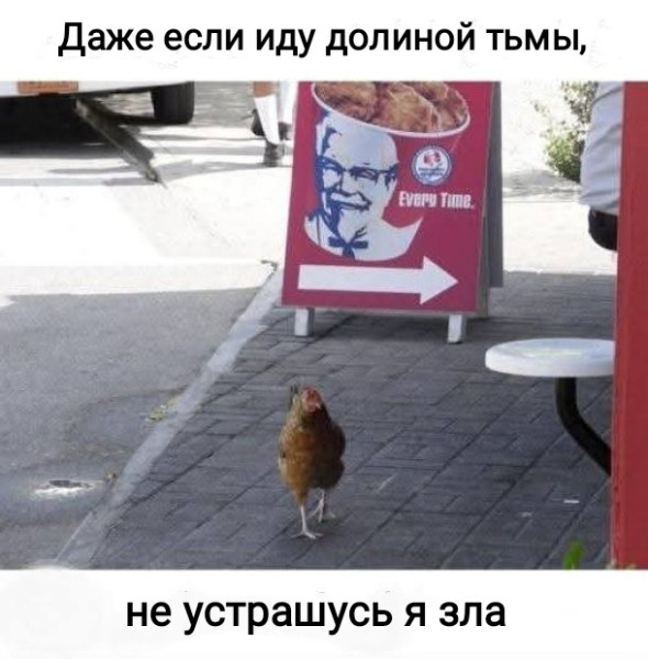 Мем, Рысь