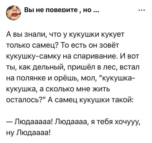 Мем, Смехалка