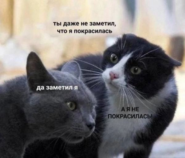 Мем, Леонид Хлыновский