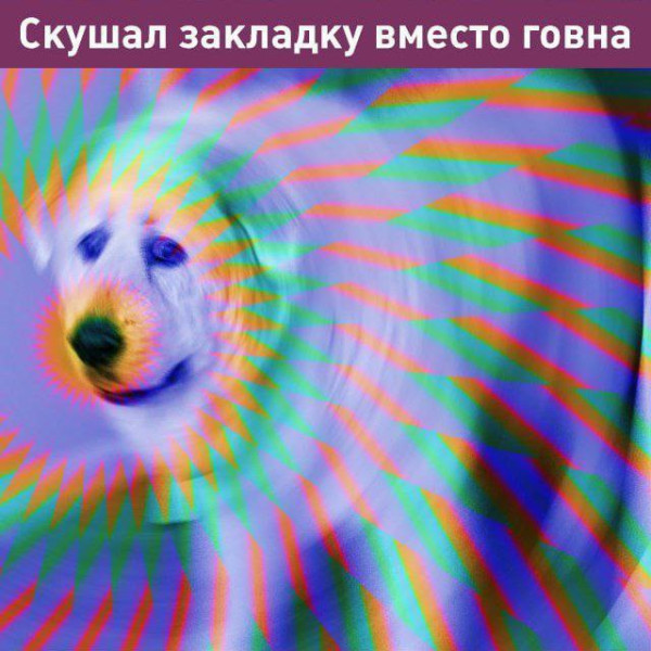 Мем, Максим Камерер