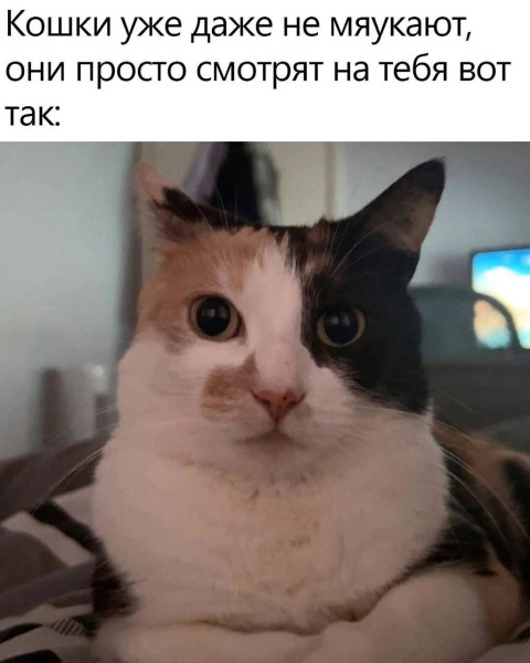 Мем, Леонид Хлыновский