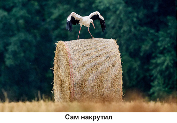 Мем, Тьмуша Мем, Тьмуша