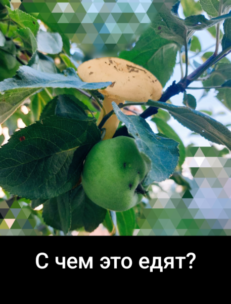 Мем: Новый гибрид Мем: Новый гибрид