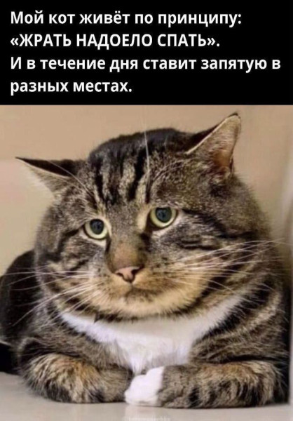 Мем, Hendry