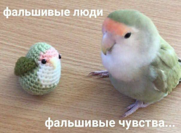 Мем, Леонид Хлыновский