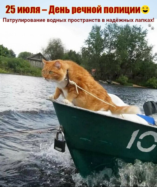 Мем