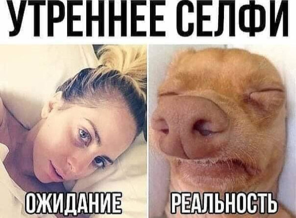 Мем, Смехалка