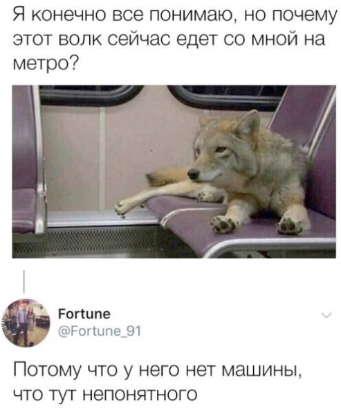 Мем, Mghost