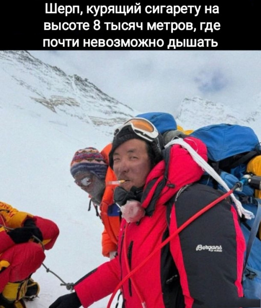 Мем, Рысь
