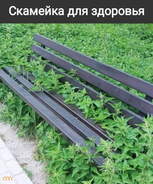 Мем, Рысь