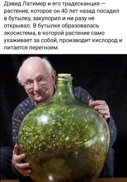 Мем, Смехалка