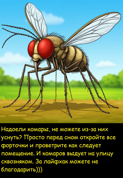 Мем, Лис Интересный