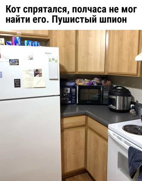 Мем, Леонид Хлыновский