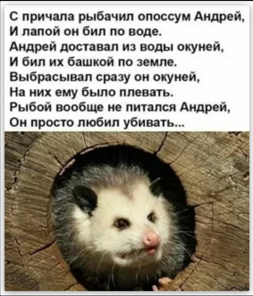 Мем, Mghost