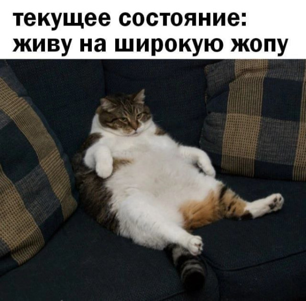 Мем, Mghost