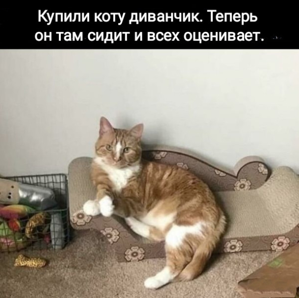 Мем, Рысь