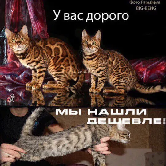 Мем, Леонид Хлыновский