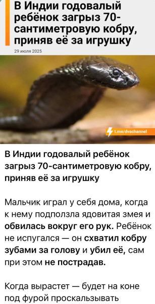 Мем, Смехалка