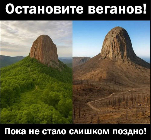 Мем: Юмор дня, iteam