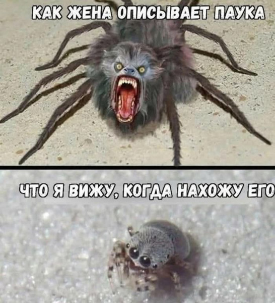 Мем, Смехалка