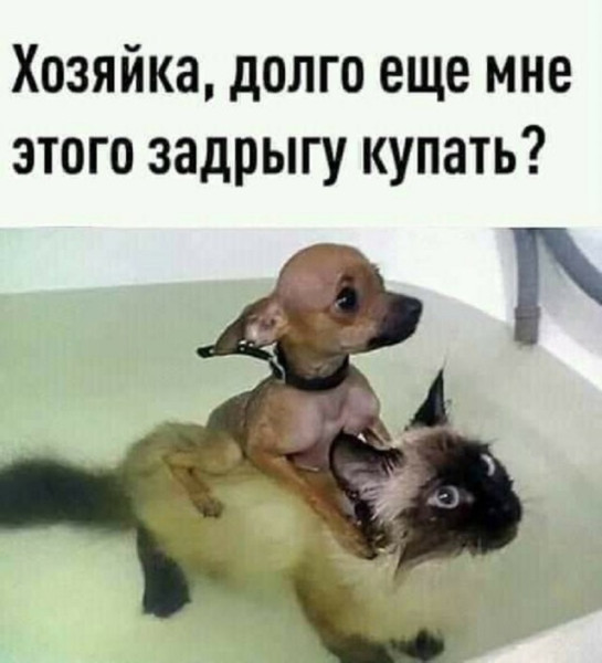 Мем, Смехалка