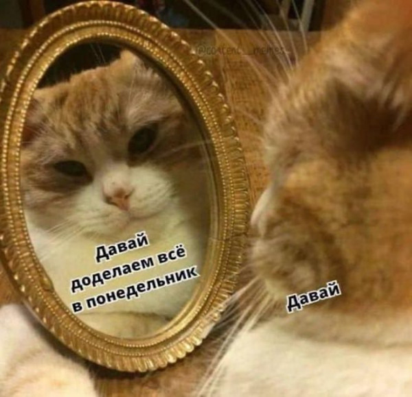 Мем, Бывает