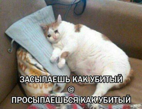 Мем, Леонид Хлыновский