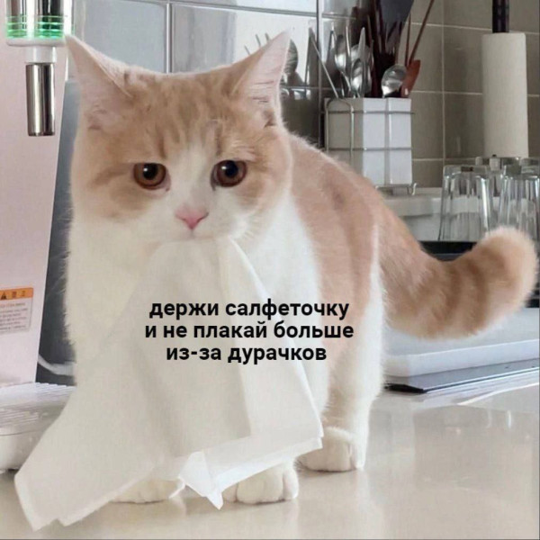 Мем, Леонид Хлыновский