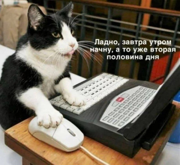 Мем, Леонид Хлыновский
