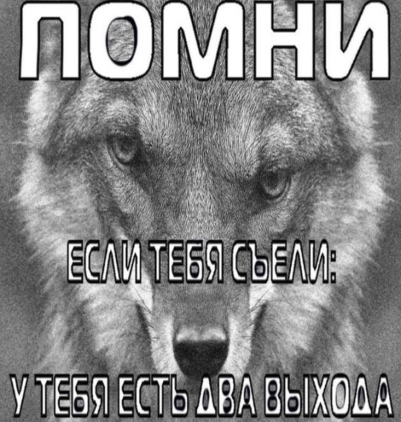 Мем: Волк, anekdot_about_sanya
