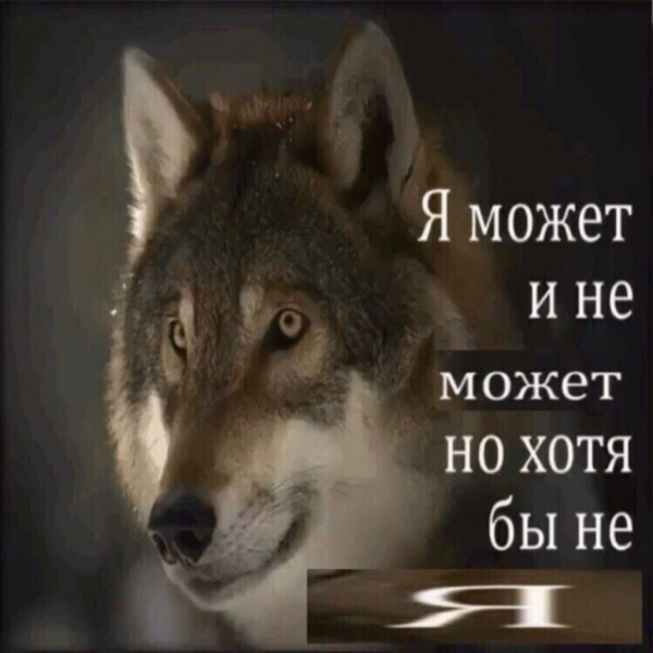 Мем: Волк, anekdot_about_sanya