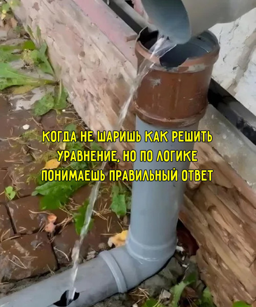 Мем, Леонид Хлыновский Мем, Леонид Хлыновский